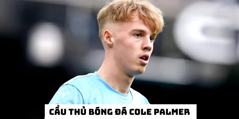 ảnh đại diện cole palmer