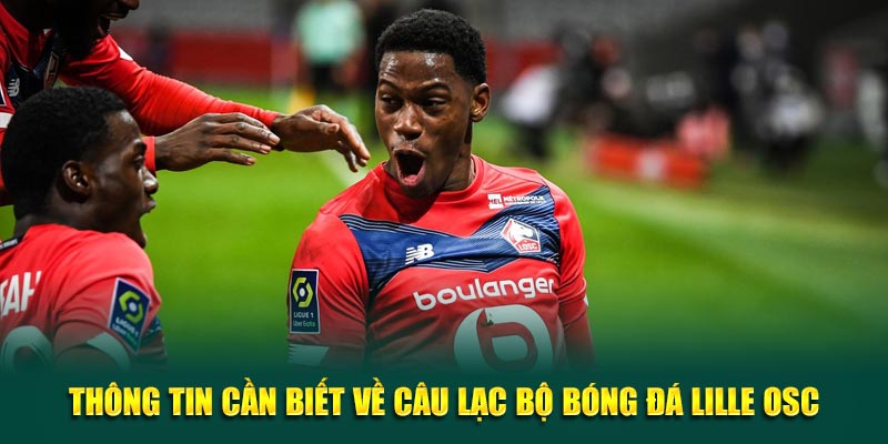 Thong-Tin-Can-Biet-Ve-Cau-Lac-Bo-Bong-Da-Lille-OSC