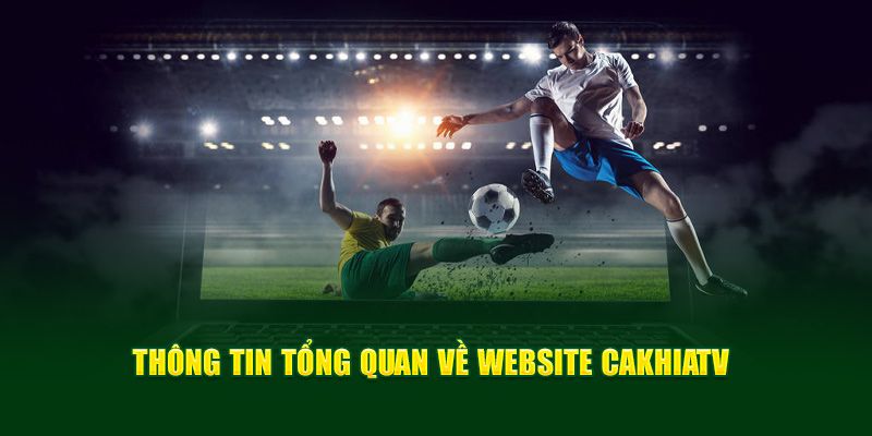 Trực Tiếp Bóng Đá Chất Lượng Cao